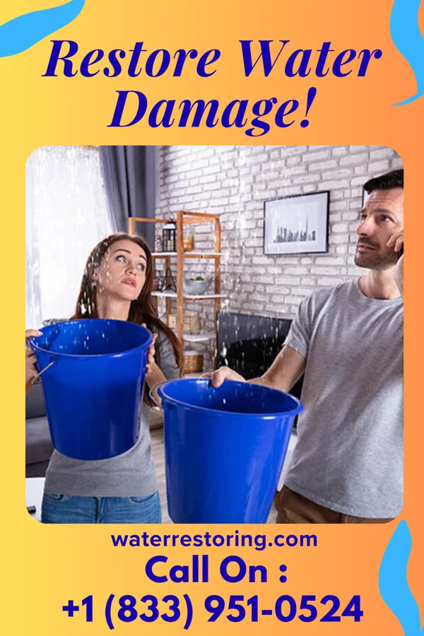 water restoration Premier Extraction Professionals Romancoke