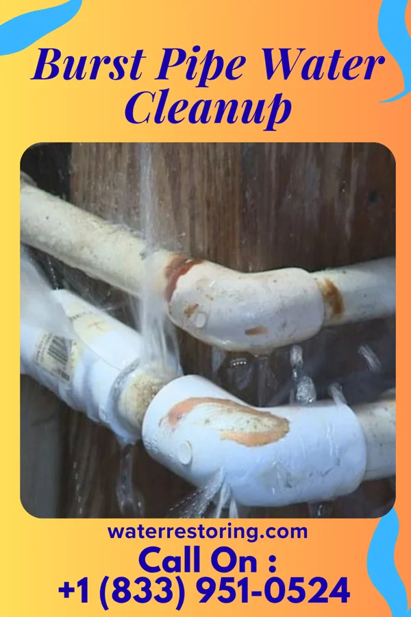Burst Pipe Water Cleanup in Romancoke, MD