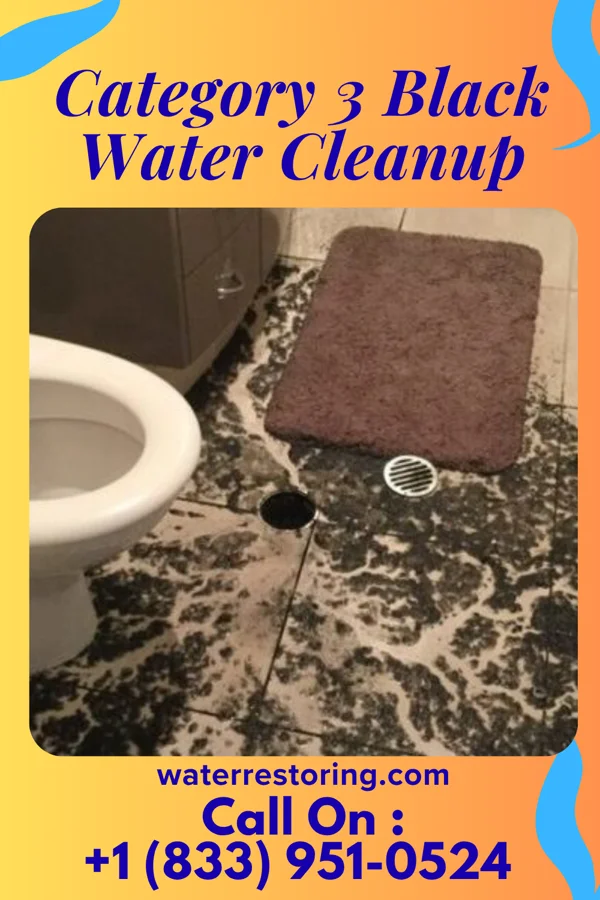 Category 3 Black Water Cleanup in Romancoke, MD