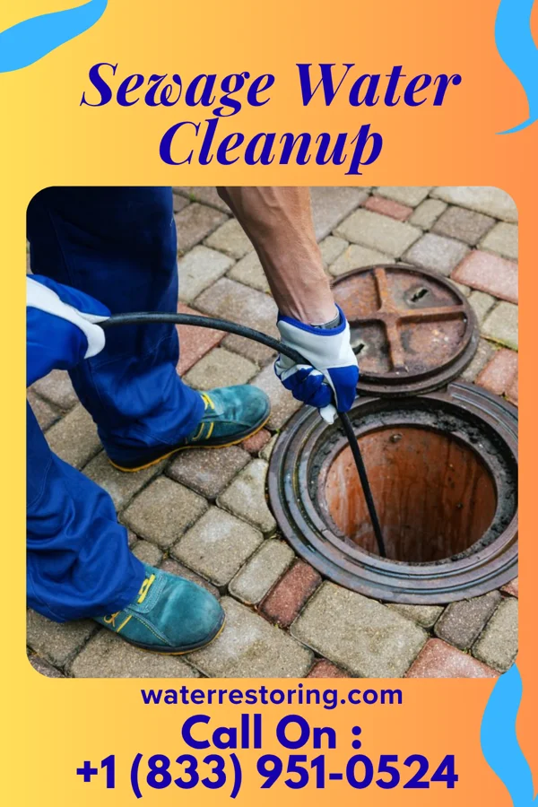 Sewage Water Cleanup in Romancoke, MD