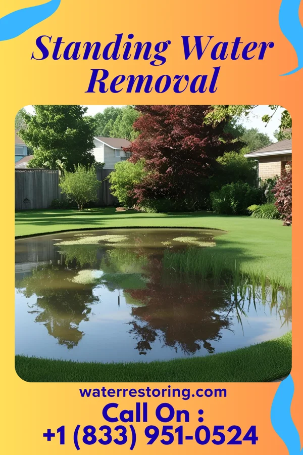 Standing Water Removal in Romancoke, MD